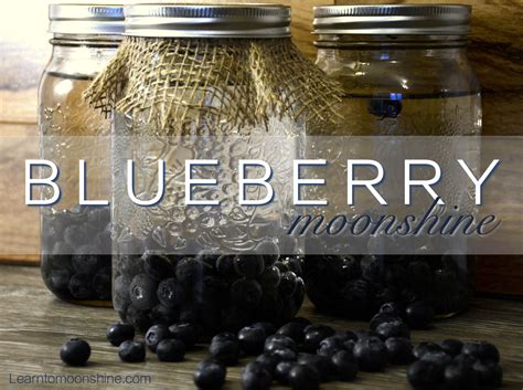 Delicious Homemade Blueberry Moonshine Recipe